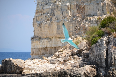 Декор в стиле Прованс на острове Корфу 5